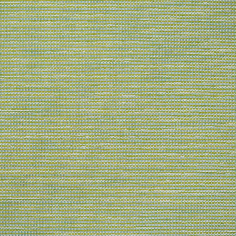 S4546 - Greenhouse - Fabric By The Yard
