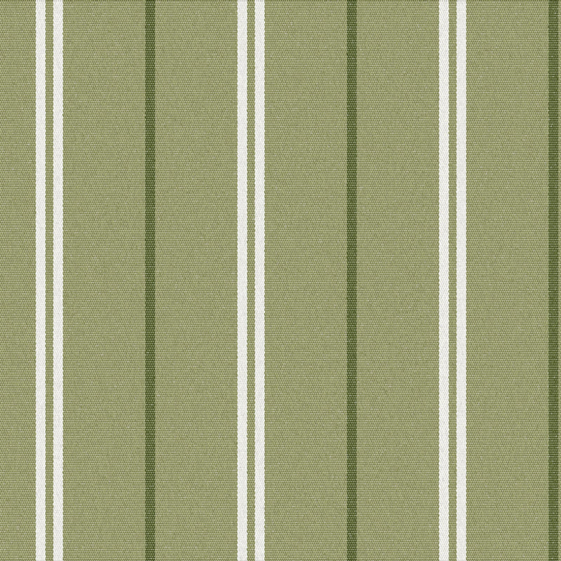 S6297 - Greenhouse - Fabric By The Yard
