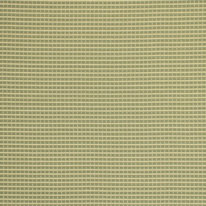 S6881 - Greenhouse - Fabric By The Yard