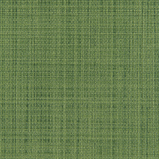 KRAVET CONTRACT - SCRIMSHAW - Fabric By the Yard