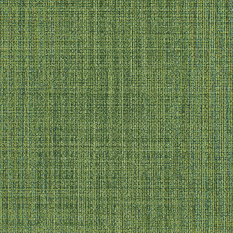 KRAVET CONTRACT - SCRIMSHAW- CACTUS - Fabric by the Yard CACTUS