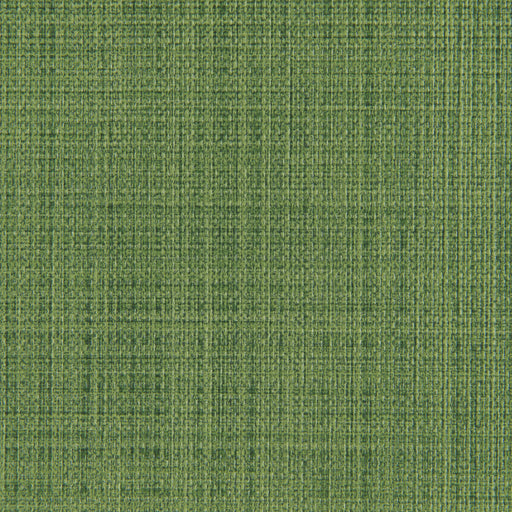 KRAVET CONTRACT - SCRIMSHAW- CACTUS - Fabric by the Yard CACTUS