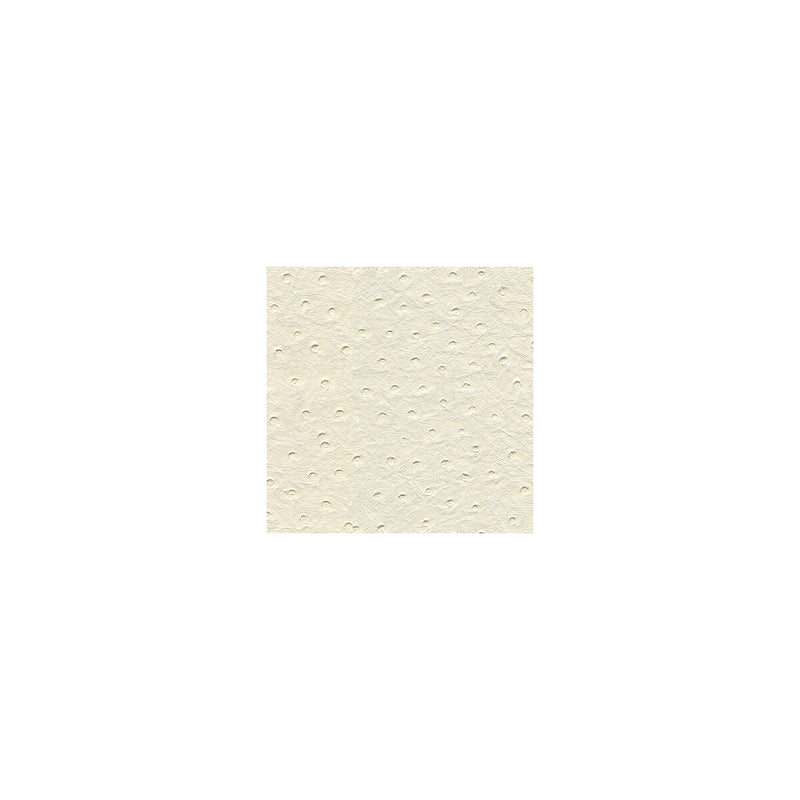 KRAVET DESIGN - KRAVET DESIGN- SENNA-101 - Fabric by the Yard SENNA-101