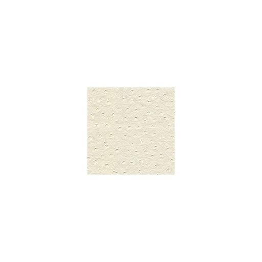 KRAVET DESIGN - KRAVET DESIGN- SENNA-101 - Fabric by the Yard SENNA-101