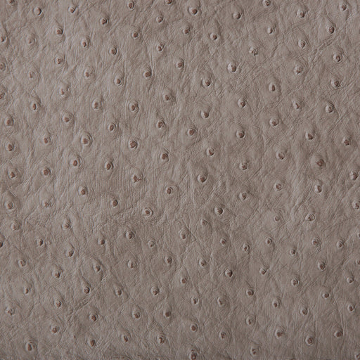 KRAVET DESIGN - KRAVET DESIGN- SENNA-11 - Fabric by the Yard SENNA-11