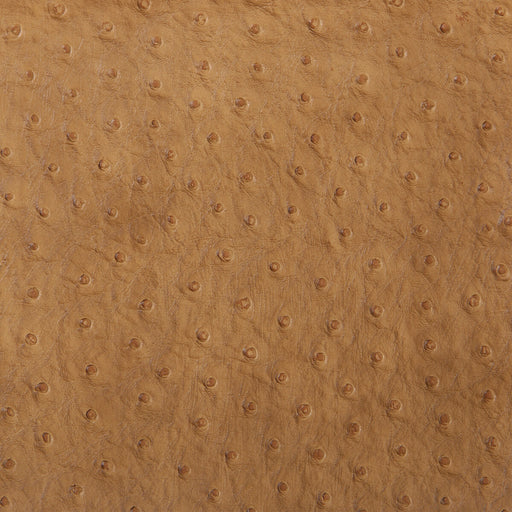 KRAVET DESIGN - SENNA - Fabric By the Yard