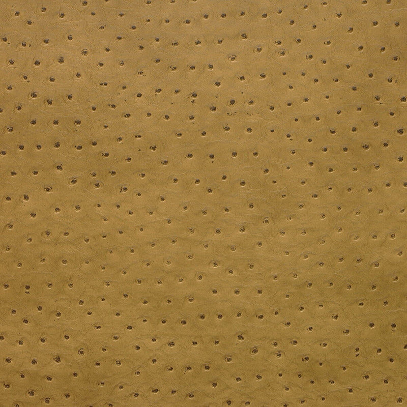 KRAVET DESIGN - KRAVET DESIGN- SENNA-4 - Fabric by the Yard SENNA-4