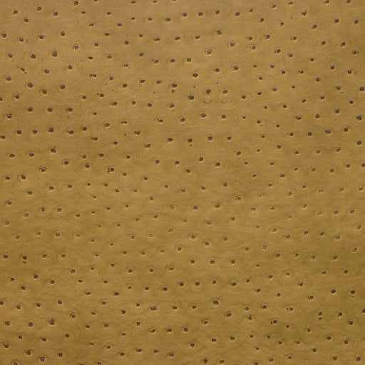 KRAVET DESIGN - KRAVET DESIGN- SENNA-4 - Fabric by the Yard SENNA-4