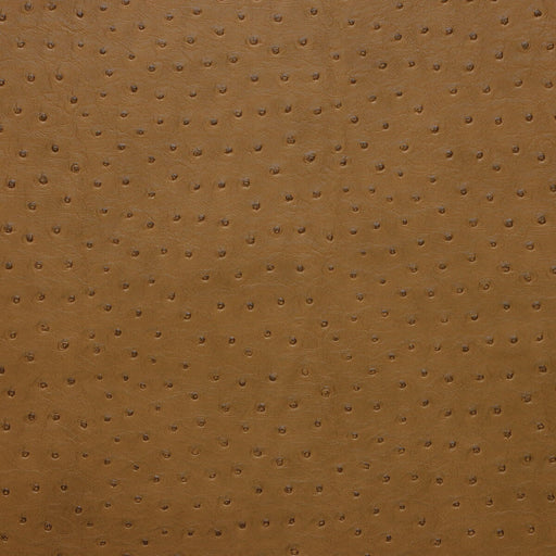 KRAVET DESIGN - KRAVET DESIGN- SENNA-616 - Fabric by the Yard SENNA-616