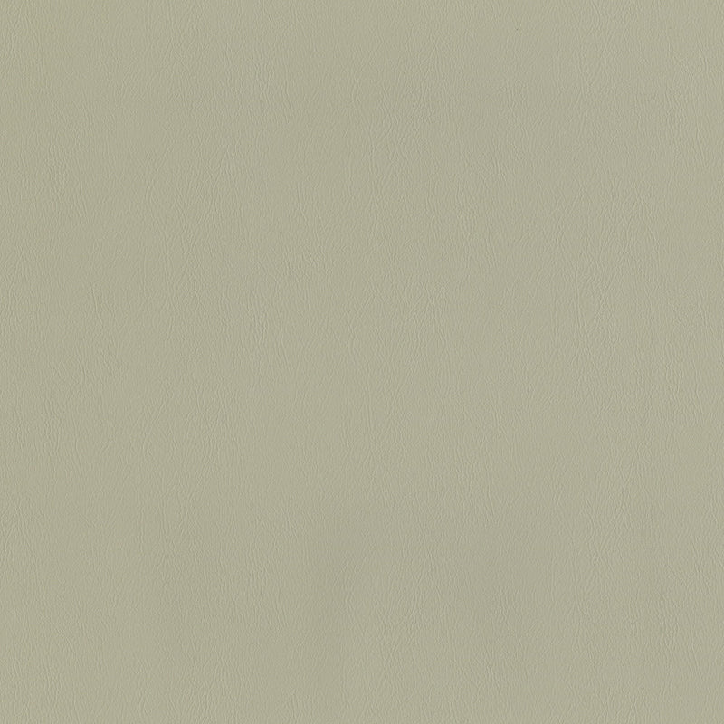 SENTINEL BEIGE