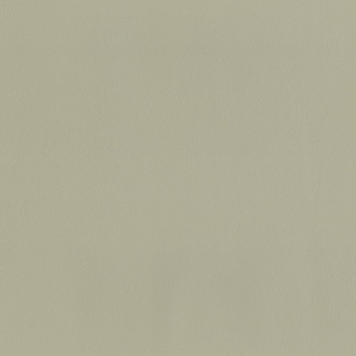 SENTINEL BEIGE