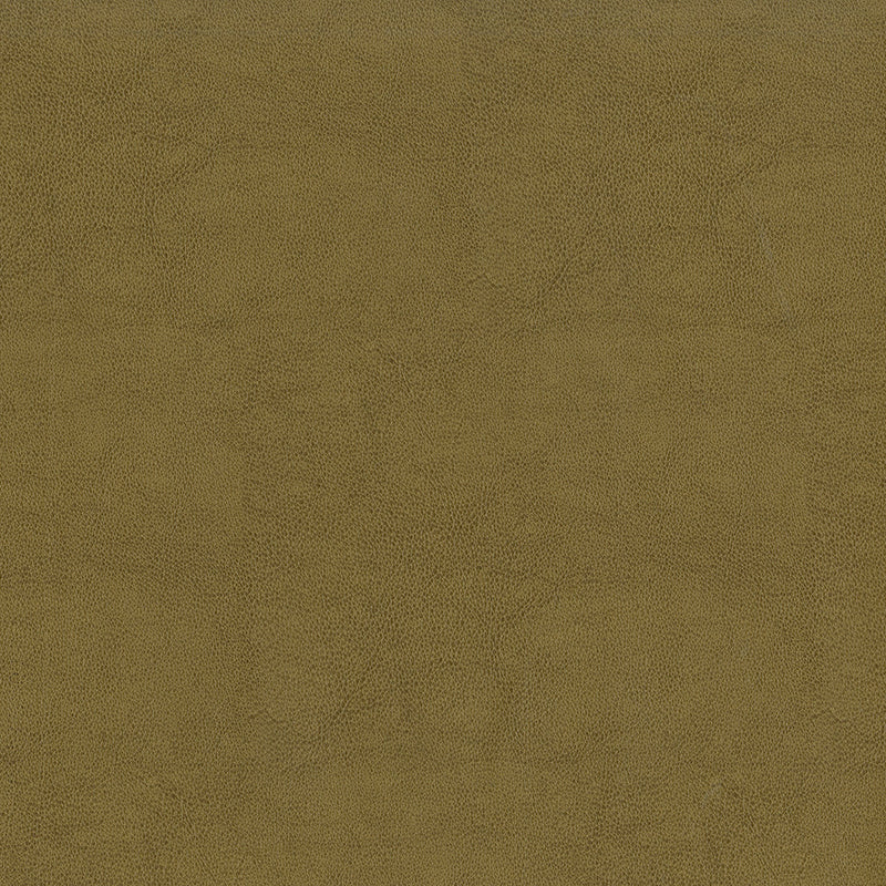 SENTINEL DUNE
