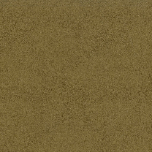 SENTINEL DUNE