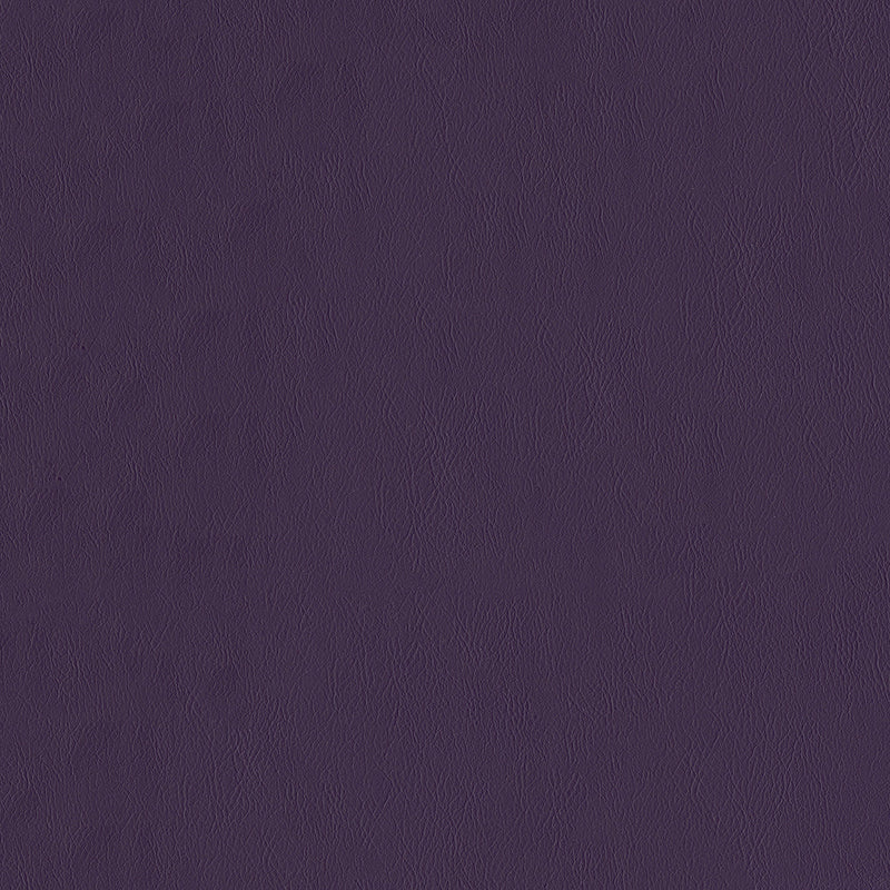 SENTINEL EGGPLANT