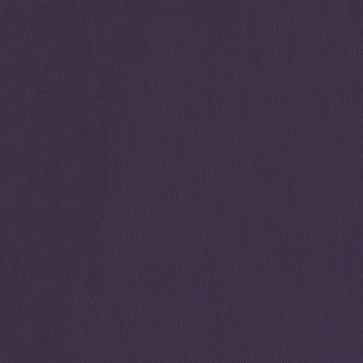 SENTINEL EGGPLANT