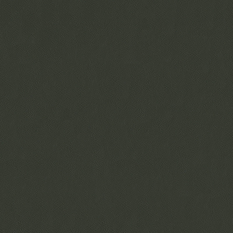 SENTINEL GRAPHITE