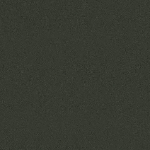 SENTINEL GRAPHITE