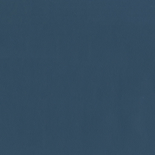 SENTINEL OCEAN