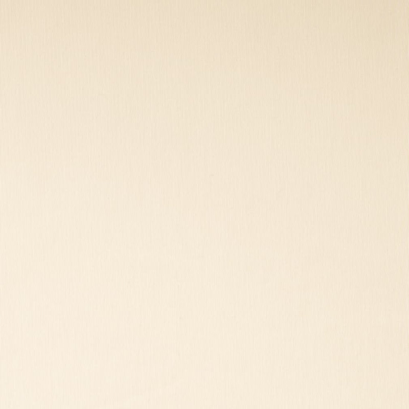 Charlotte - SH152 - Cream - Fabric by the Yard Cream