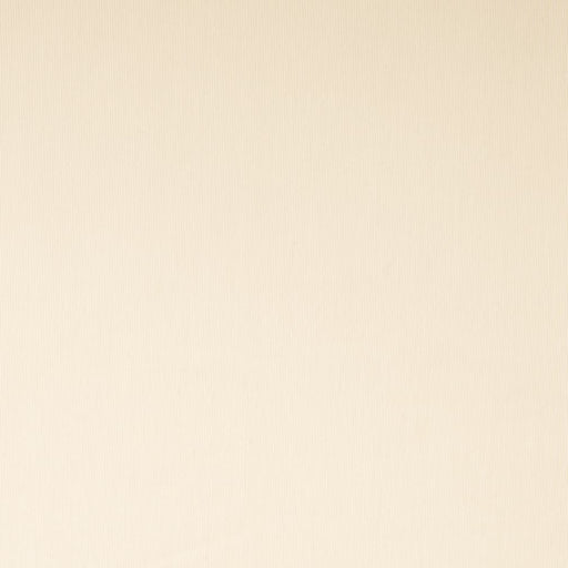 Charlotte - SH152 - Cream - Fabric by the Yard Cream