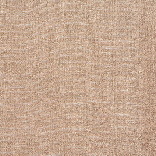 Charlotte - SH16 - Bisque - Fabric by the Yard Bisque