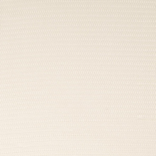 Charlotte - SH177 - Tusk - Fabric by the Yard Tusk