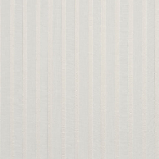 Charlotte - SH42 - Cream - Fabric by the Yard Cream