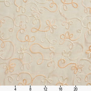 Charlotte - SH47 - Champagne - Fabric by the Yard - SH47 - SH47_Ruler