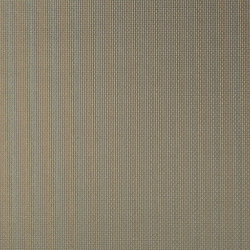 KRAVET CONTRACT - SIDNEY- PORCINI - Fabric by the Yard PORCINI