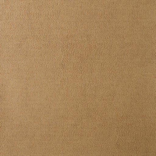KRAVET DESIGN - KRAVET DESIGN- SPARTA-16 - Fabric by the Yard SPARTA-16