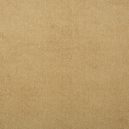 KRAVET DESIGN - KRAVET DESIGN- SPARTA-1 - Fabric by the Yard SPARTA-1