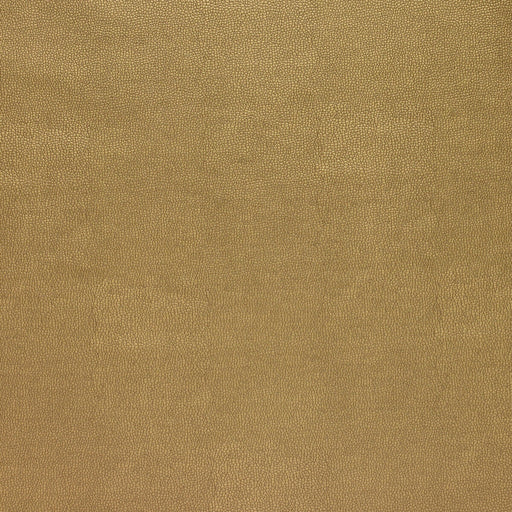 KRAVET DESIGN - KRAVET DESIGN- SPARTA-404 - Fabric by the Yard SPARTA-404