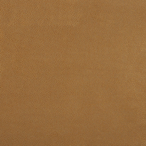 KRAVET DESIGN - KRAVET DESIGN- SPARTA-4 - Fabric by the Yard SPARTA-4