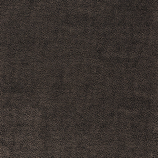 KRAVET DESIGN - KRAVET DESIGN- SPARTA-811 - Fabric by the Yard SPARTA-811