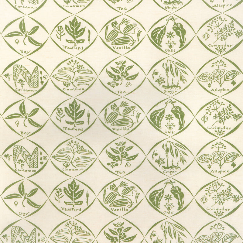 KRAVET COUTURE - SPICES- CACTUS - Fabric by the Yard CACTUS