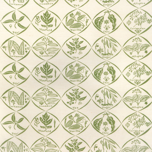 KRAVET COUTURE - SPICES- CACTUS - Fabric by the Yard CACTUS