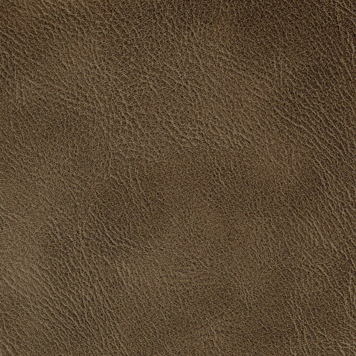 KRAVET CONTRACT - SPUR- PECAN - Fabric by the Yard PECAN