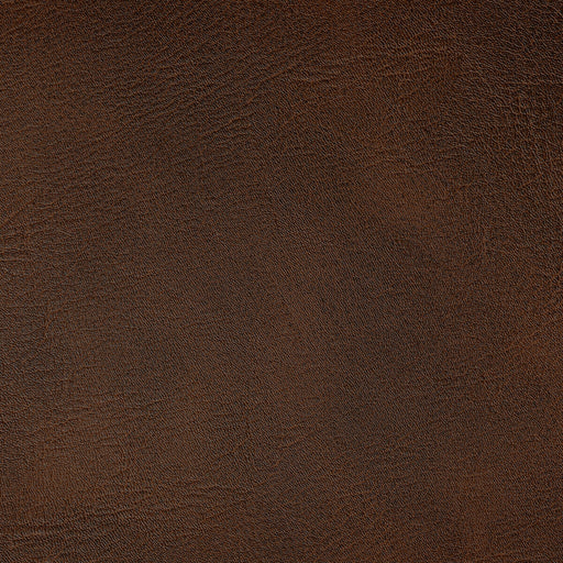 KRAVET CONTRACT - SPUR- BRONCO - Fabric by the Yard BRONCO