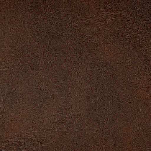 KRAVET CONTRACT - SPUR - Fabric By the Yard