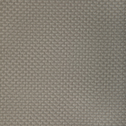 KRAVET CONTRACT - STEIN- PORCINI - Fabric by the Yard PORCINI