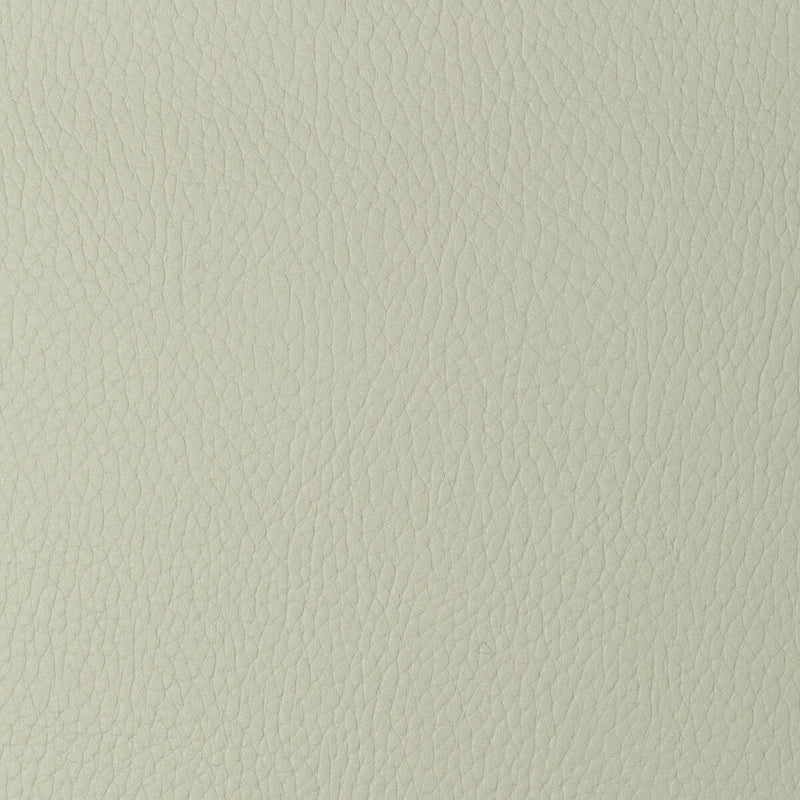 KRAVET DESIGN - KRAVET DESIGN- SUGARMAPLE-101 - Fabric by the Yard SUGARMAPLE-101