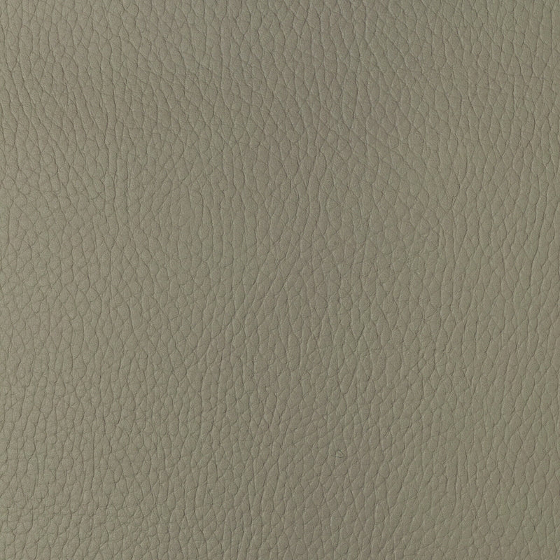 KRAVET DESIGN - KRAVET DESIGN- SUGARMAPLE-116 - Fabric by the Yard SUGARMAPLE-116