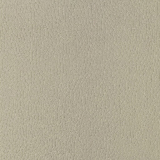 KRAVET DESIGN - SUGARMAPLE - Fabric By the Yard