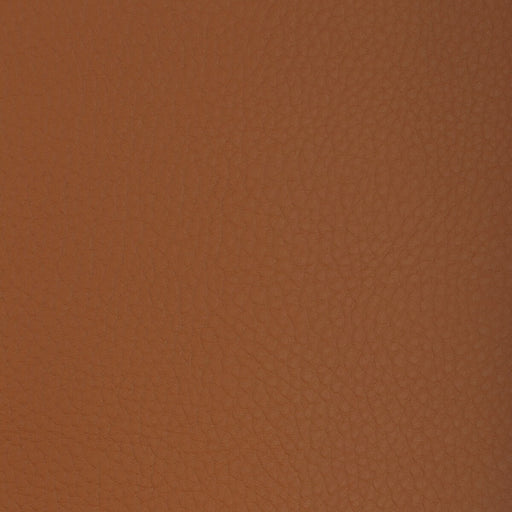 KRAVET DESIGN - KRAVET DESIGN - SUGARMAPLE-612 - Fabric By The YARD