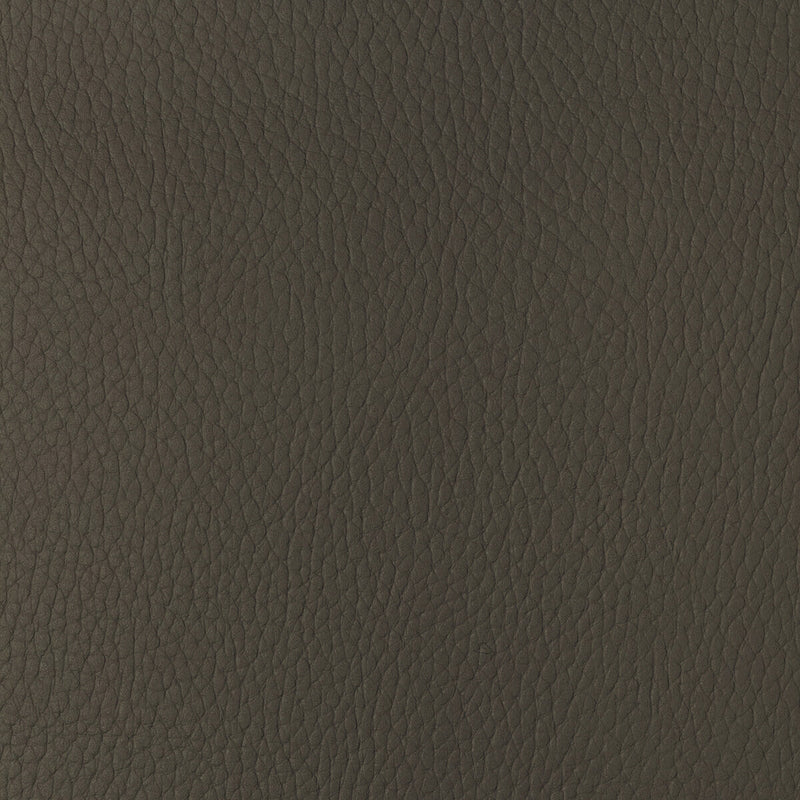 KRAVET DESIGN - KRAVET DESIGN- SUGARMAPLE-616 - Fabric by the Yard SUGARMAPLE-616