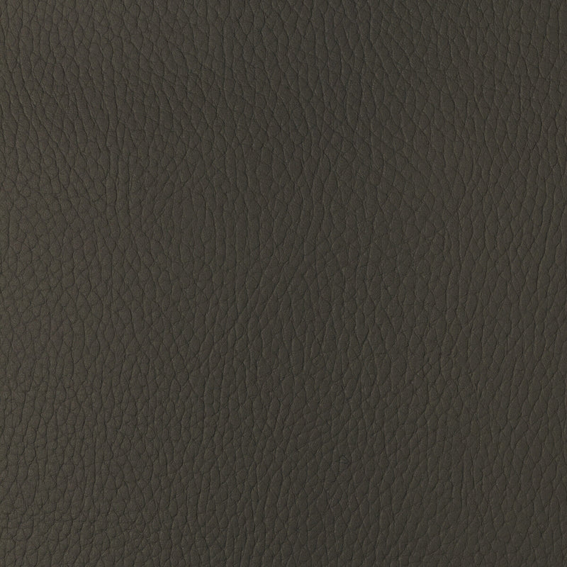 KRAVET DESIGN - KRAVET DESIGN- SUGARMAPLE-6 - Fabric by the Yard SUGARMAPLE-6