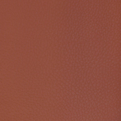 KRAVET DESIGN - KRAVET DESIGN - SUGARMAPLE-77 - Fabric By The YARD