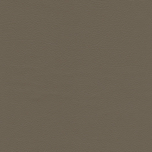 KRAVET DESIGN - KRAVET DESIGN- SUMAC-11 - Fabric by the Yard SUMAC-11