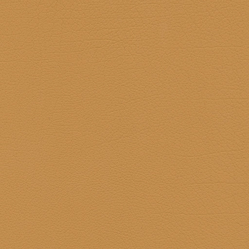 KRAVET DESIGN - KRAVET DESIGN- SUMAC-64 - Fabric by the Yard SUMAC-64