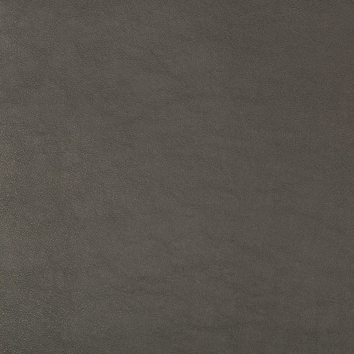 KRAVET DESIGN - KRAVET DESIGN- SWAPS-21 - Fabric by the Yard SWAPS-21